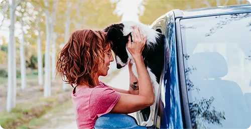 fur_fable_calming_003_01