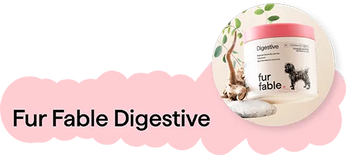fur_fable_digestive_002
