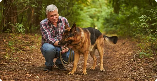 fur_fable_longlife_001_1